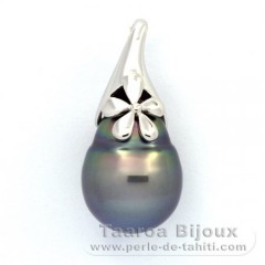 Colgante de Plata y 1 Perla de Tahiti Anillada C 12 mm