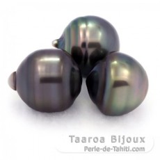 Lote de 3 Perlas de Tahiti Anilladas C de 12.6 a 12.9 mm