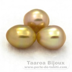 Lote de 3 Perlas de Australia Semi-Barrocas C de 10.6 a 10.9 mm