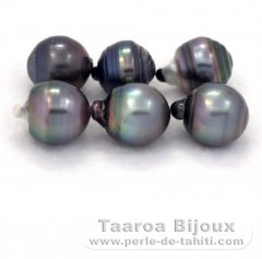 Lote de 6 Perlas de Tahiti Anilladas D de 13 à 13.4 mm