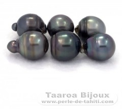 Lote de 6 Perlas de Tahiti Anilladas D de 14 à 14.9 mm