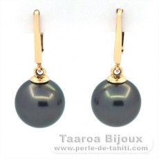 Aretes de Oro 14Kl y 2 Perlas de Tahiti Redondas B 9.9 mm