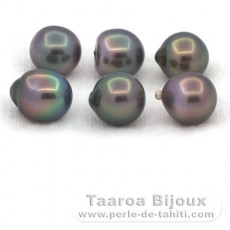 Lote de 6 Perlas de Tahiti Semi-Barrocas B de 9.5 a 9.8 mm