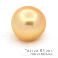 Perla de Australia Semi-Barroca C 13.3 mm