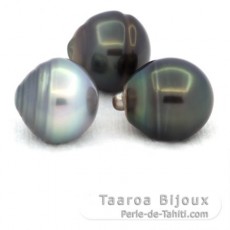 Lote de 3 Perlas de Tahiti Anilladas C de 12.5 a 12.9 mm