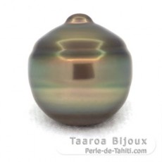 Perla de Tahití Anillada C 14.7 mm