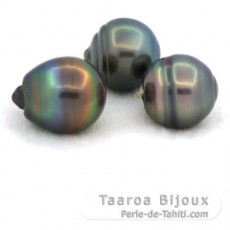 Lote de 3 Perlas de Tahiti Anilladas C de 13 a 13.2 mm