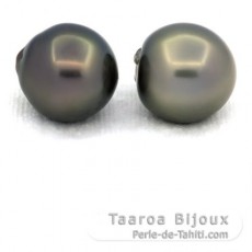 Lote de 2 Perlas de Tahiti Semi-Barrocas C 13.5 y 13.8 mm