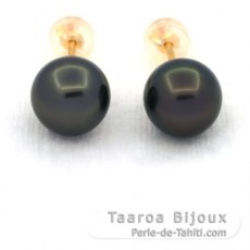 Aretes de Oro 18Kl y 2 Perlas de Tahiti Redondas C 9 mm