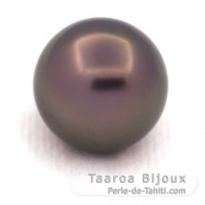 Perla de Tahití Redonda B/C 12.4 mm