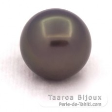 Perla de Tahití Redonda B/C 12.6 mm