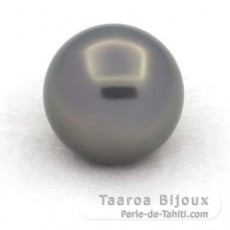 Perla de Tahití Redonda C 13.7 mm