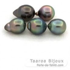 Lote de 5 Perlas de Tahiti Anilladas B de 8.3 a 8.9 mm