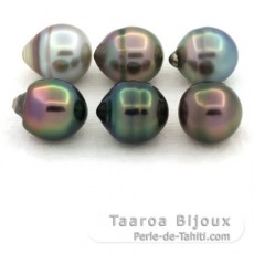 Lote de 6 Perlas de Tahiti Anilladas B de 9.6 a 9.8 mm