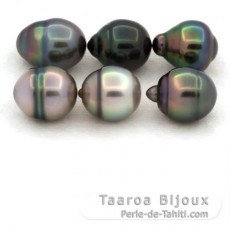 Lote de 6 Perlas de Tahiti Anilladas B de 9.7 a 9.9 mm