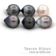 Lote de 6 Perlas de Tahiti Semi-Barrocas C de 11.6 a 11.8 mm