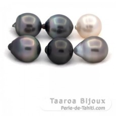 Lote de 6 Perlas de Tahiti Semi-Barrocas C de 11.6 a 11.8 mm