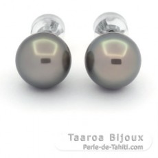 Aretes de Plata y 2 Perlas de Tahiti Redondas C 10.4 mm