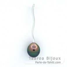 Colgante de Plata y 1 Perla de Tahiti Anillada B 9.2 mm
