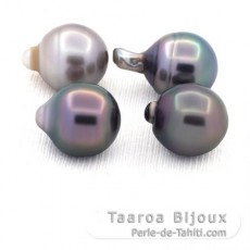 Lote de 4 Perlas de Tahiti Anilladas C de 11.6 a 11.7 mm
